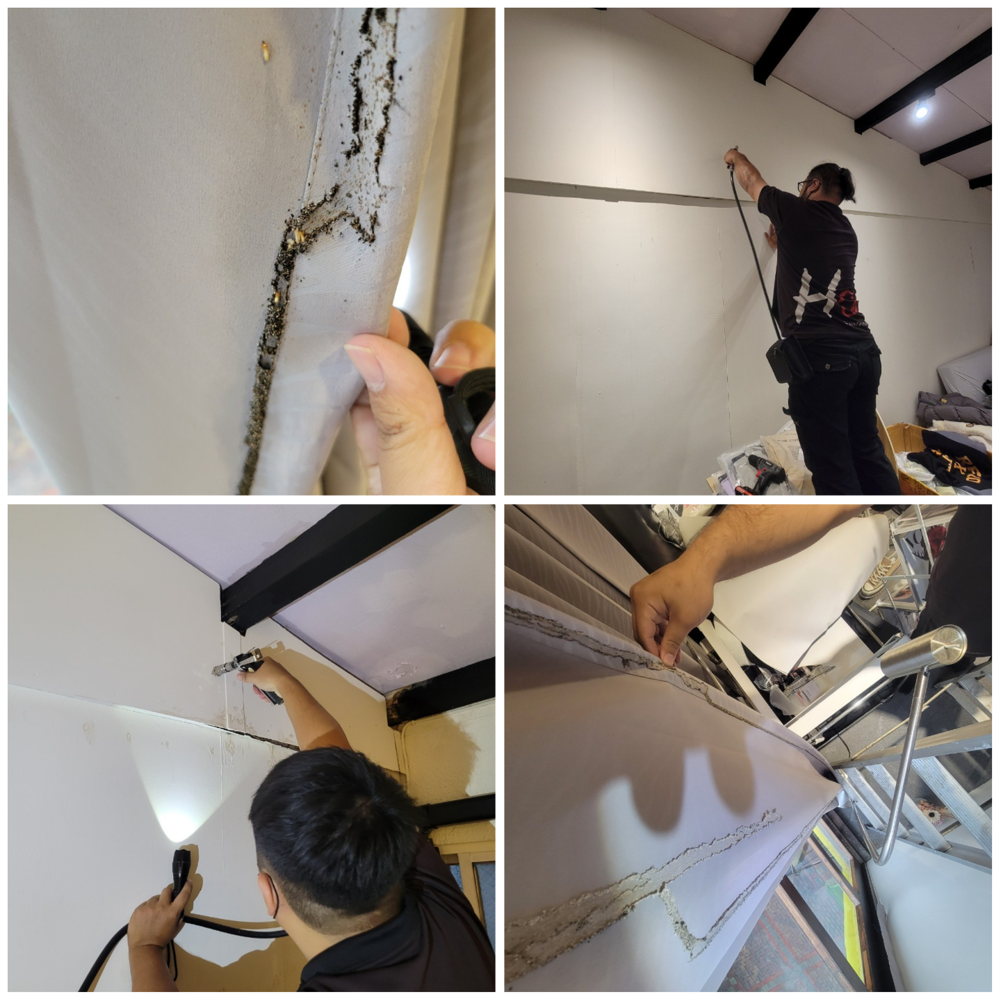 Ho消毒有限公司的實際案例圖片